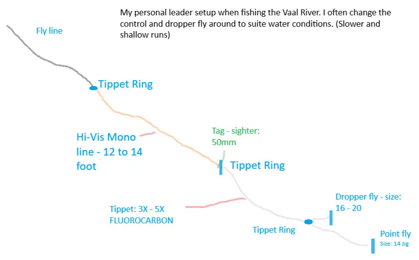 Clear euro nymphing leader setup diagram showing mono, sighter, tippet ring and two weighted nymphs for Vaal River Yellowfish