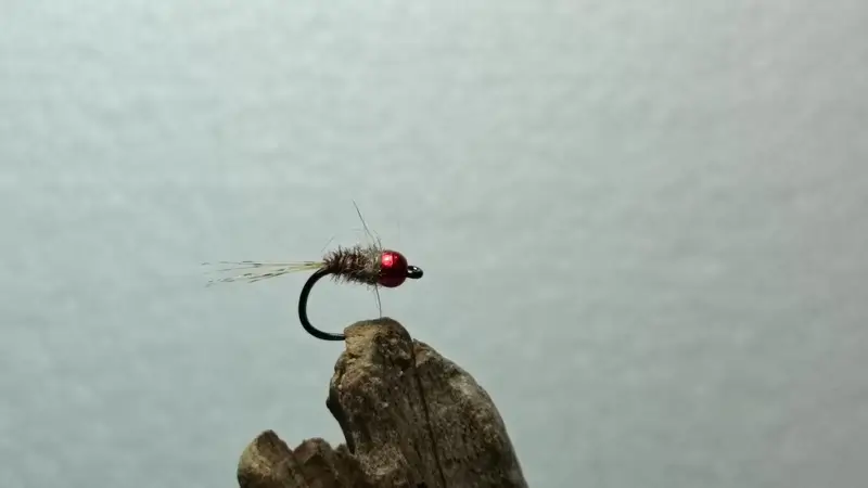 Pheasant Tail hotspot nymph pattern for Vaal River Yellowfish fly fishing (natural mayfly profile)