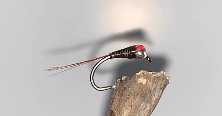 Perdigon nymph pattern for Vaal River Yellowfish fly fishing (fast-sinking control fly)