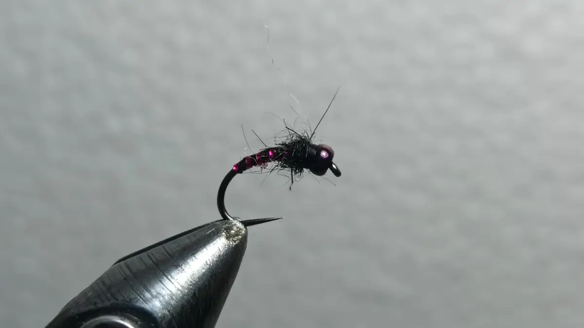Best flies for summer flows