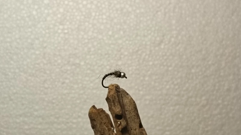 Zebra midge pattern for Vaal River Yellowfish fly fishing (micro nymph for low and clear water)