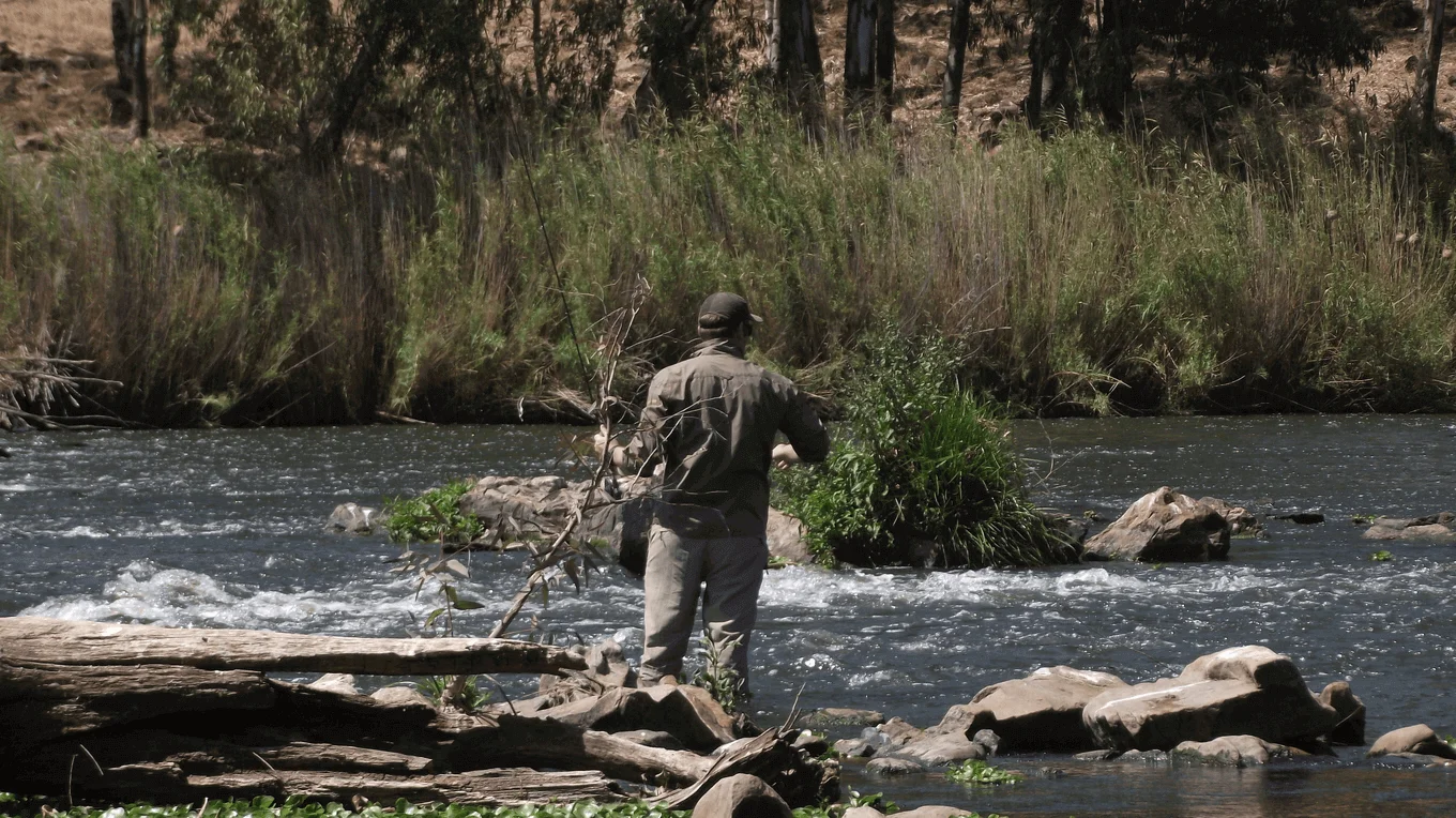 Vaal River seams and riffles—classic Yellowfish water